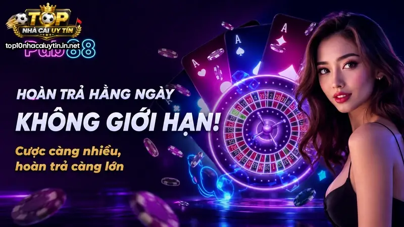 Pub88 Có An Toàn Không? Cơ Chế Kiểm Soát Rủi Ro Dòng Tiền Và Tối Ưu Lợi Nhuận 2026 5 Pub88