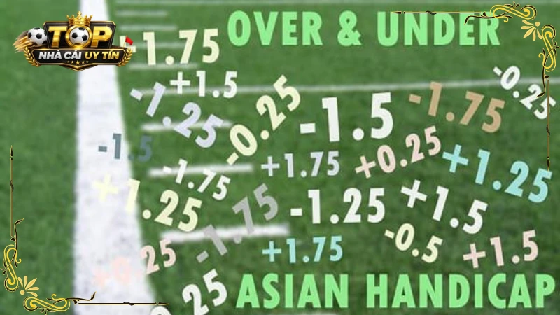 Tài Xỉu 0.75 Là Gì? Cách Chơi TX 0.5/1 Trái Hiệu Quả Nhất 3 tai xiu 0 75 2